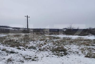 Teren de 2570 mp, în Dumbrava (Ciurea) - 1