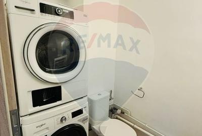 Apartament cu 3 camere decomandat, mobilat în Griviței - 12