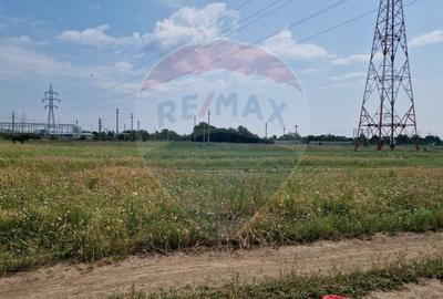 De vanzare | Teren industrial Chitila 2500 mp - 2