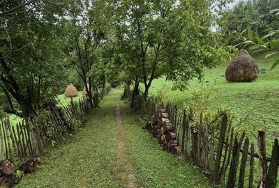 Teren cu vedere superba către munte -1656 mp, dubla deschidere! - 15