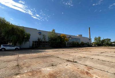 Spațiu industrial, de 20,702 mp, în Timișoara - 10