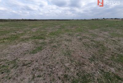 COMISION 0% Teren intravilan 1255 mp cu Puz aprobat, zona Giroc COMISION 0% Teren intravilan 1255 mp cu Puz aprobat, zona Giroc - 7