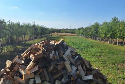 Vand casa caramida an 2000 - 4