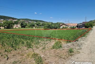 Teren intravilan 2000 mp - Popesti (Baciu) Ideal pentru casa, gradina si livada - 3