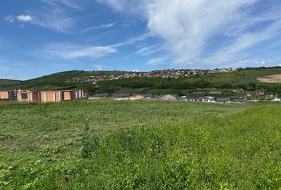 Spațiu comercial, în Șura Mare - 3