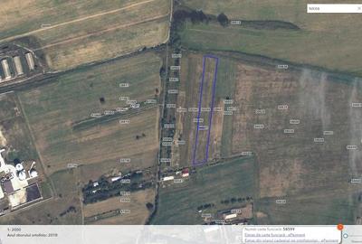 Teren de 2500 mp, în Central - 4