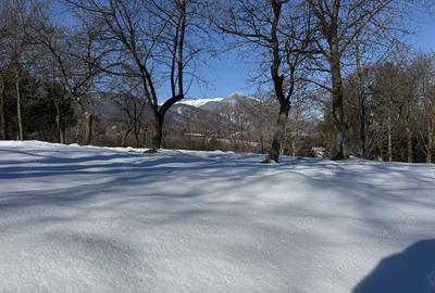 Teren de 763 mp, în Predeluț - 4