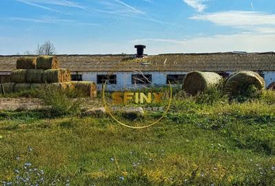 Teren intravilan cu potential de investitie 62000mp - 15