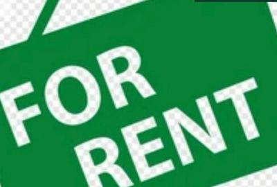 Spatiu comercial de inchiriat, 55 mp, Radauti - 1