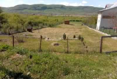 Teren de 2177 mp, în Crainimăt - 6