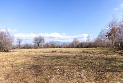 Teren Construcții intravilan de 5967 mp, în Bran - 8