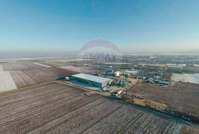 Hala de inchiriat, Sc 7014mp, Zona Biharia - 13