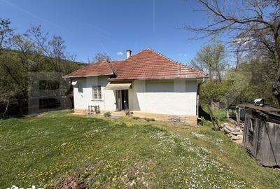 Casă cu 4 camere cu Teren 5000 Mp în Cuzăplac - 5