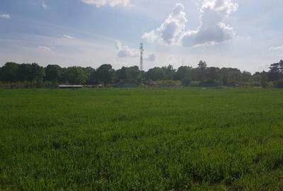 Teren Construcții intravilan de 3000 mp, în Ciolpani - 1