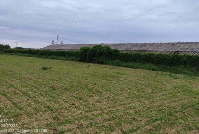 Teren de 10000 mp, în Gura Foii - 5