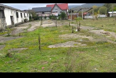 Teren de 6000 mp, în Calvini - 3