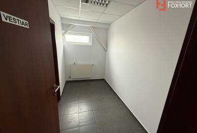 Spațiu industrial, de 500 mp, în Torontalului - 19