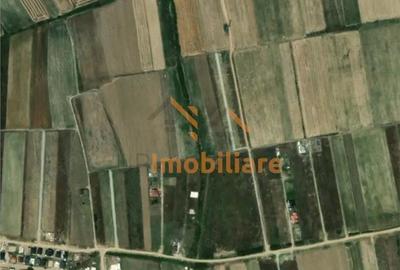 Teren de 5755 mp, în Cihei - 2