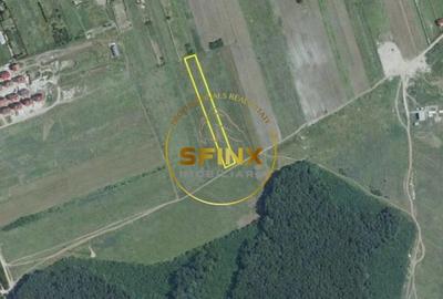 Corbeanca 5000 mp, deschidere 22 m la Drum asfaltat, padure, utilitati la limita - 4