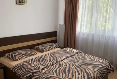 Apartament cu 2 camere decomandat, mobilat în Valea Ialomiței - 3