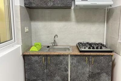 Apartament cu 2 camere semidecomandat în Roșu - 2