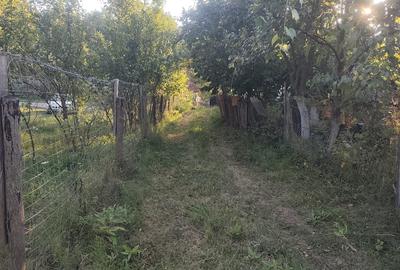 Sat Glodeni, jud. Dambovita - 2
