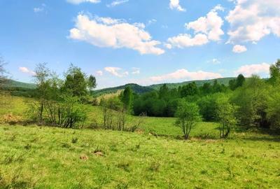 25.000 mp TEREN IDEAL AFACERE TURISM – AMENAJARE LAC DE PESCUIT, CIUCEA - CLUJ - 4