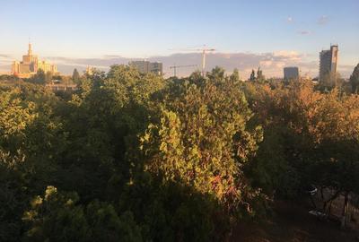 Garsonieră decomandată în Romană - 19