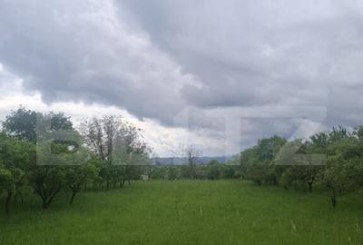 Teren intravilan 2691 mp, aproape de zona centrala - 8