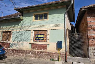 Casă cu 3 camere cu Teren 2500 Mp în Pietroasa - 15