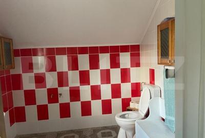 Casa individuala 360 mp, garaj, teren 1000 mp, zona Scheia - 14