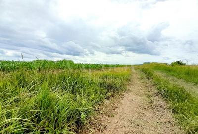 Teren Construcții intravilan de 21354 mp, în Cheriu - 1