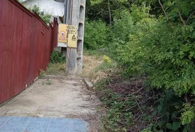 Teren de 1300 mp, în Muntenii de Jos - 5