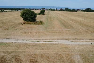 Teren de 10098 mp, în Central - 2