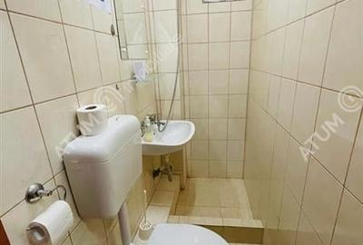 Casa de vacanta/Cabana cu 8 camere de vanzare in Paltinis - 10