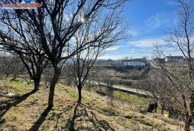 Casa de in localitatea Malcoci-judet Tulcea - 2