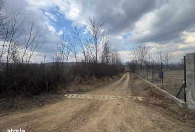 Teren de 1334 mp, în Moldovenești - 7