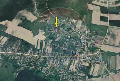 Hotel/Pensiune, de 231 mp, în Dobreni - 15