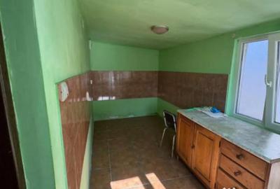 Casă cu 3 camere cu Teren 300 Mp în Valea Borcutului - 7