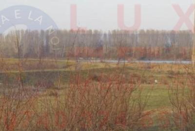 ID 7792 Teren INTRAVILAN in Delta Dunarii - Comuna Mahmudia - 6