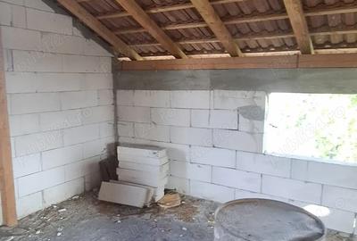 Casă cu 6 camere cu Teren 1200 Mp în Mărăcineanu - 4