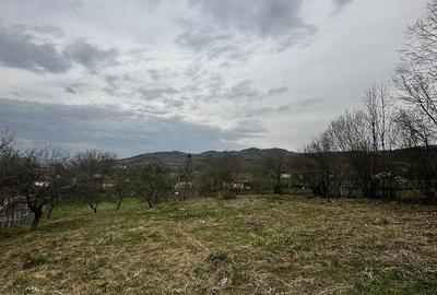 Casă cu 2 camere cu Teren 2700 Mp în Mica - 4