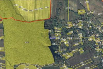 Teren de 2300 mp, în Duda - 6