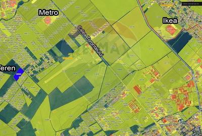 Teren de 20000 mp, în Torontalului