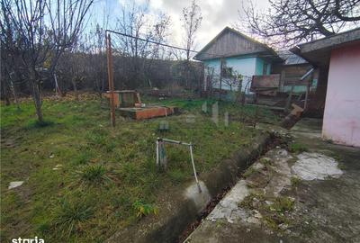 Spațiu comercial, în Bucium