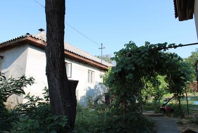 Casă cu 2 camere în Central - 2