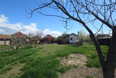 Casă individuală cu 4 camere cu Teren 3892 Mp în Baia de Criș - 18