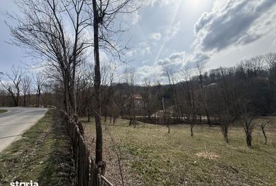 Teren de 2100 mp, în Provița de Jos - 7