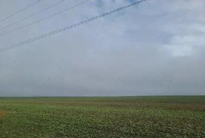 Teren extravilan Orbeasca, ID: R2836912 - 3