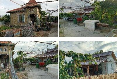 Casă cu 4 camere cu Teren 3983 Mp în Ungureni (Corbii Mari) - 8